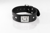 Black Studded Collar Size L Primal Bond Whips