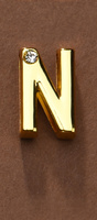 Letter for Personalizing Collar or Handcuffs Upko Letter N UPKO