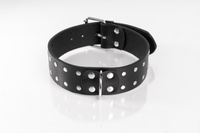 Black Double-Studded Collar Size L Primal Bond Whips