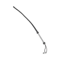 The Beast Whip Brutus