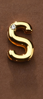 Letter for Personalizing Collar or Handcuffs Upko Letter S UPKO