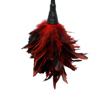  Fetish Fantasy Frisky Feather Duster Red