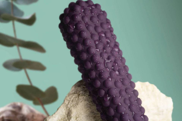 Trenażer Mięśni Kegla Wellness Mykori Rocks-Off