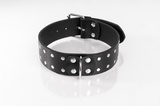 Black Double-Studded Collar Size S Primal Bond Whips