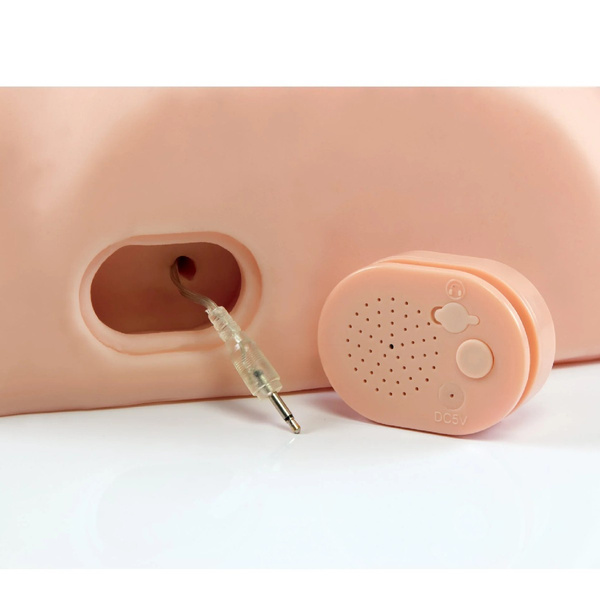  Interaktywny masturbator Dirty Talk Interactive Fuck Him Silly PDX Male