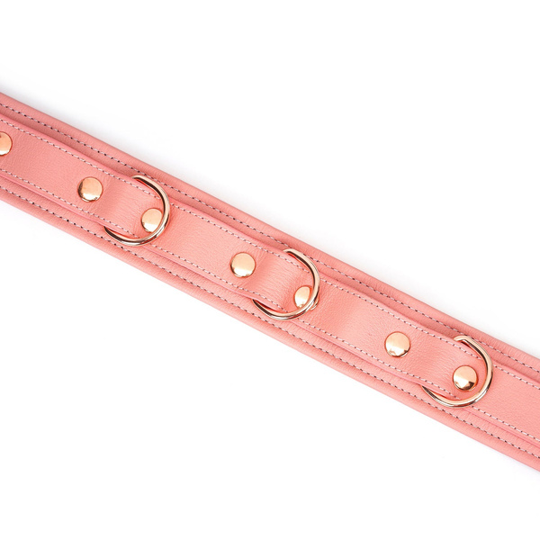 Liebe Seele Pink Dream Collar with Leash