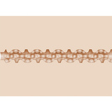 Fleshjack Boys Griffin Barrows Cake