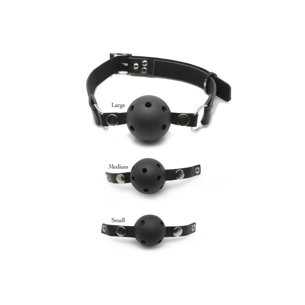 Pipedream Fetish Fantasy Series Ball Gag Training System