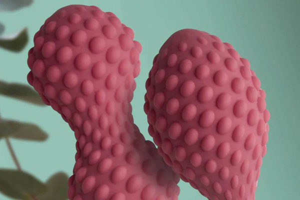 Kulki Gejszy Wellness Unite Kegel Set Rocks-Off