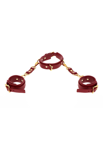 Taboom D-Ring Collar and Wrist Cuffs Red