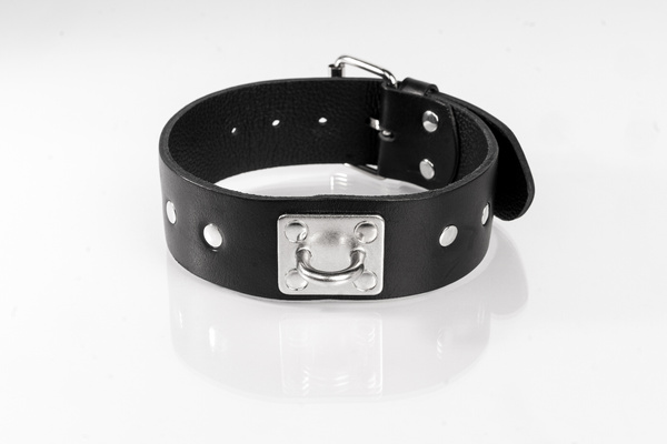 Black Studded Collar Size S Primal Bond Whips