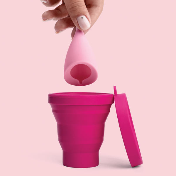 Intimina Sterilizing cup