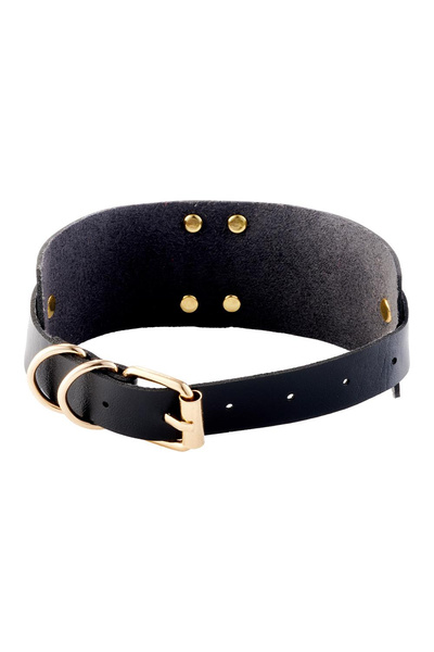 O-Ring Collar Black/Gold Kinky Diva