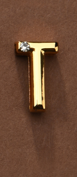 Litera Do Personalizacji Obróżki Lub Kajdanek Upko Letter T UPKO