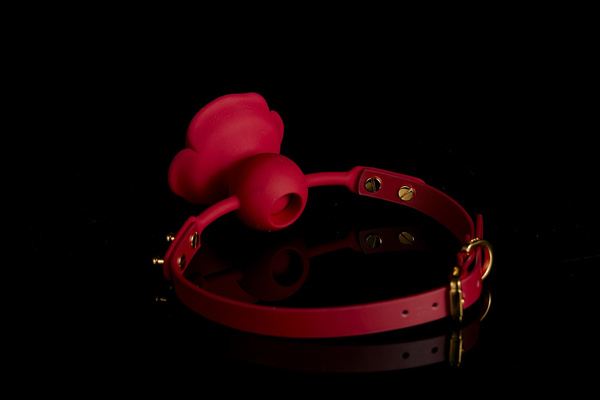 Silicone Rose-Shaped Gag with Red Straps Zalo & Upko Rose Ball Gag Red Straps UPKO