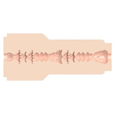 Masturbator Girls Vanna Bardot Dopamine Fleshlight