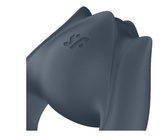 2in1 vibrator Perfect Pair 2 Satisfyer