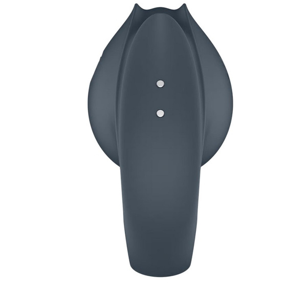 2in1 vibrator Perfect Pair 2 Satisfyer