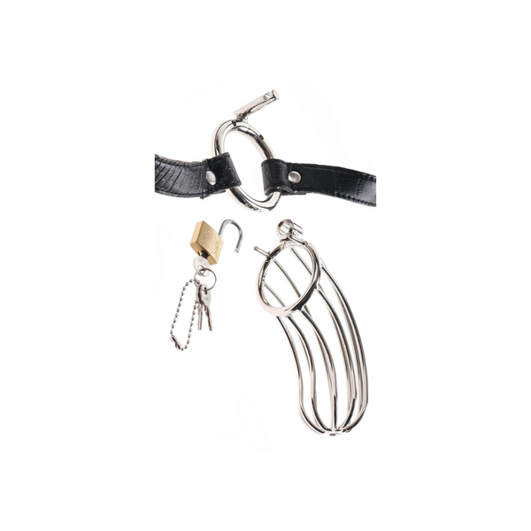 Fetish Fantasy Extreme The Prisoner