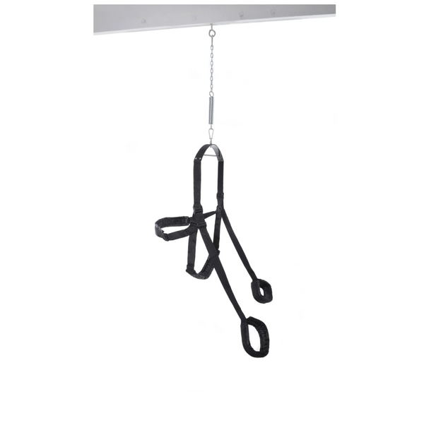 Pipedream Fetish Fantasy Swing