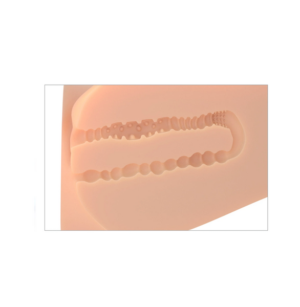 Masturbator Pdx Plus Ez Bang Torso Light Pipedream