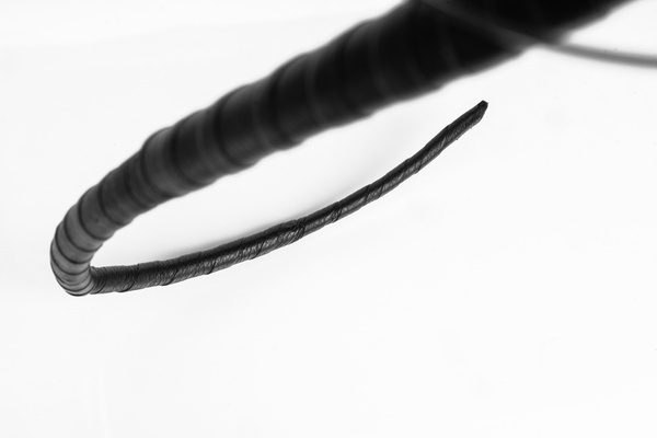 Świński ogon Primal Bond Whips