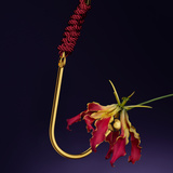 Hak Do Wiązania Upko Vaginal/Anal Hook UPKO