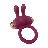 Pleasure Box Sexy Calendar Dreamtoys