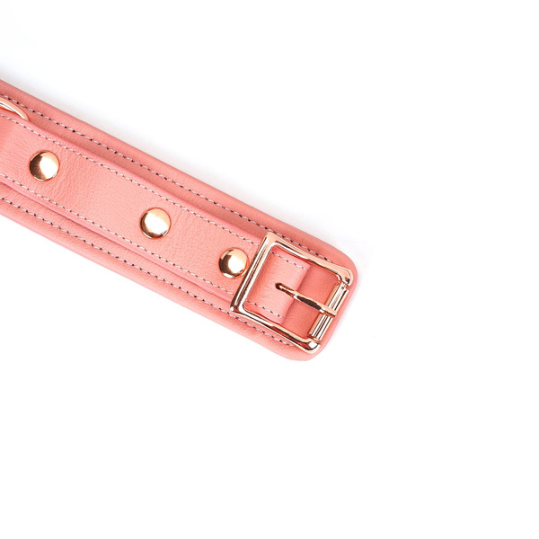 Obróżka Ze Smyczą Pink Dream Collar With Leash Liebe Seele