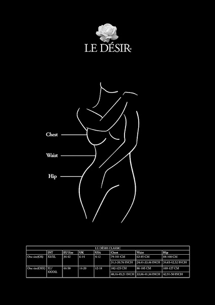 Bodystocking LE DÉSIR Lace Sleeved One Size