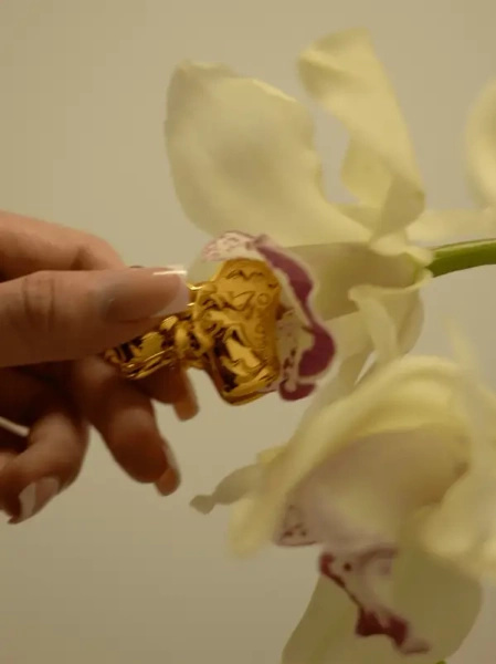 Bowknot Binder Clip Style Nipple Clamps UPKO