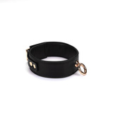 Liebe Seele Black Organosilicon Collar with Leash