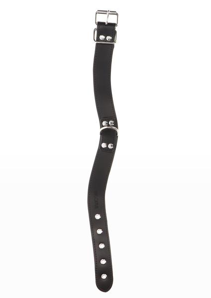 Taboom Elegant D-Ring Collar Black