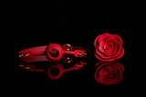Silicone Rose-Shaped Gag with Red Straps Zalo & Upko Rose Ball Gag Red Straps UPKO
