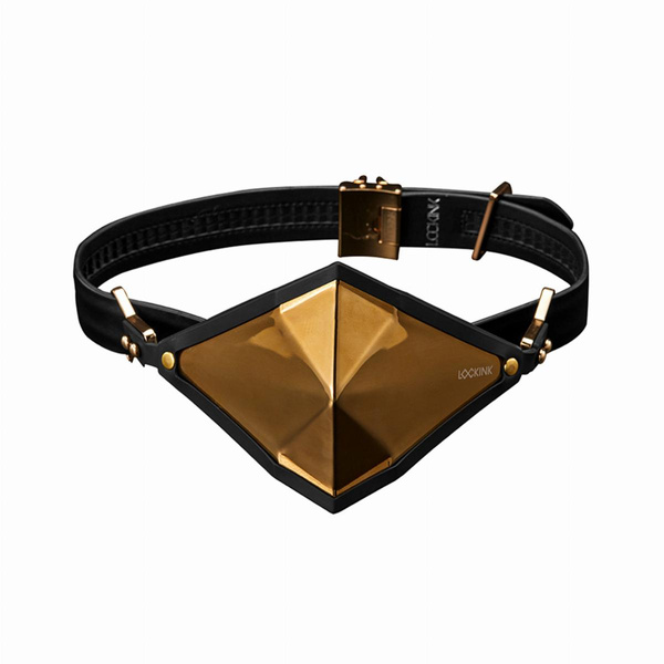 LOCKINK Golden Punker Muzzle Gag Set Gold