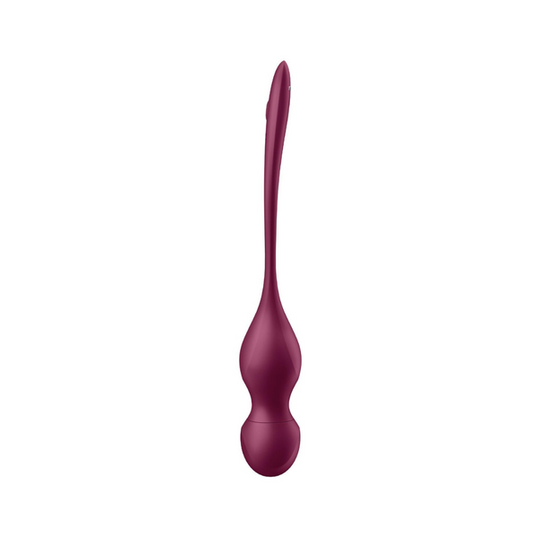 Satisfyer Love Birds Vary Connect App wine red