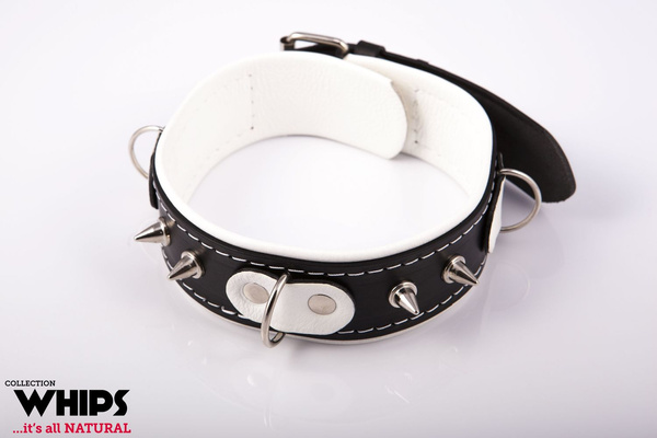 Whips Men's collar with leash white