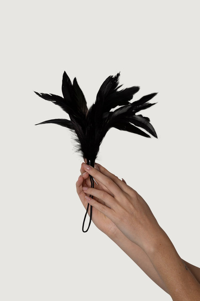 Feather Tickler Black - Prestiżowe Pióra Adrien Lastic