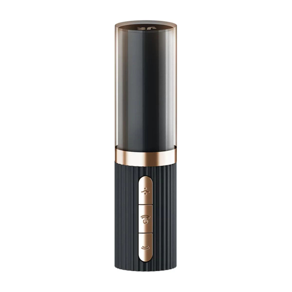 Stymulator Powietrzny Pro 2 Kiss Satisfyer