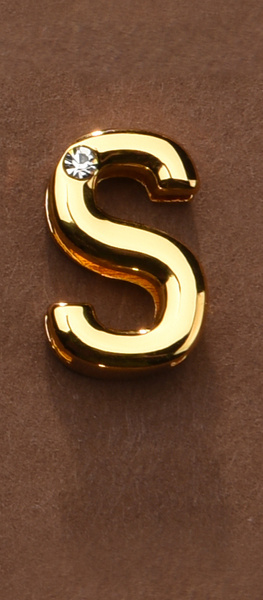 Letter for Personalizing Collar or Handcuffs Upko Letter S UPKO