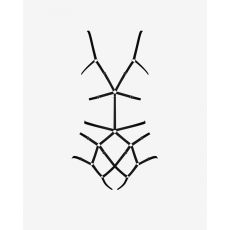 Georgia body harness