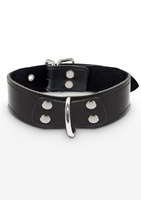 Obróżka Elegant D-Ring Collar Black Taboom