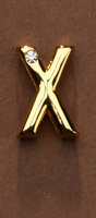 Litera Do Personalizacji Obróżki Lub Kajdanek Upko Letter X UPKO